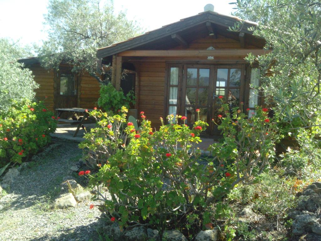 Finca La Piedra Holidays Álora Habitación foto